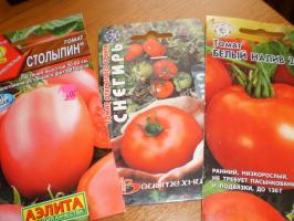 Prvi urod rajčice - početi s onim ocjenama?