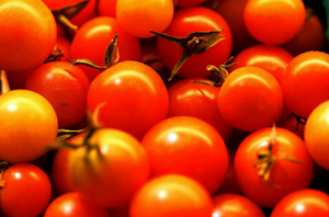 Koristan čudo gnojivo za rajčice iz koprive