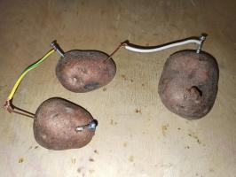 Struja od krumpira - provesti jednostavan eksperiment