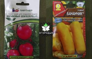 Brak sorti i hibrida rajčice