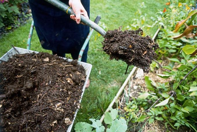 Igle za kompost | Vrtlarstvo & Hortikultura