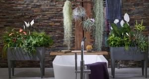 Biljke u kupaonici doprinose blažen atmosferi. 6 varijanti za „live” dekor