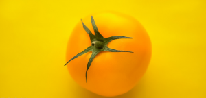 5-dajući vrste žute rajčice