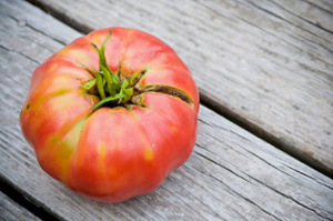 Širi ukusna i dobre rajčice na rasklapanje