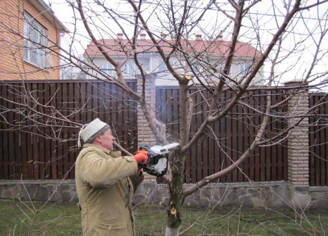 Vrijeme je da se do pilu! (Folwark.ru)