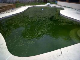 Kako uštedjeti na bazen: Kako biste spriječili cvjetanje algi