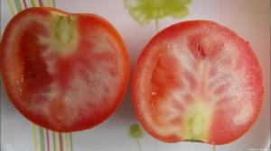 Zašto rasti rajčice s bijelim žilama, i što učiniti