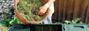 Šest pravila dobrog komposta
