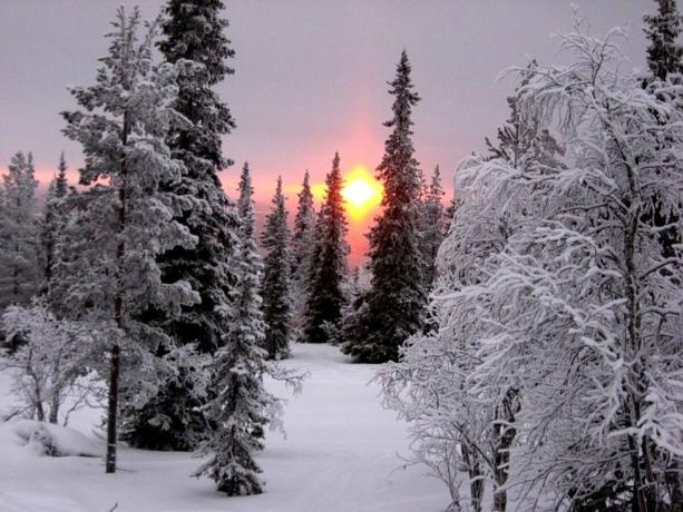 Neka ova zima će biti barem na prekrasnoj fotografiji. Izvor: assets.oxu.az