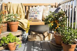 Kako ukrasiti mali balkon, biljke i cvijeće. 9 korisni rješenja.