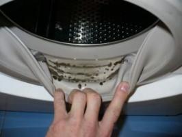 Kako ukloniti pljesniv miris iz perilice rublja