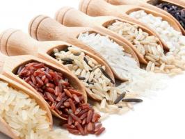 Koja je korist od riže?