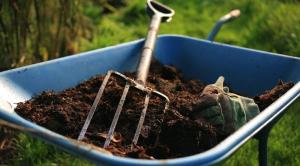 Poboljšanje plodnosti tla, bez uporabe gnojiva.