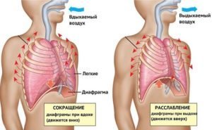 Abdominalna disanje: koristi i štete, aparati, mišljenja