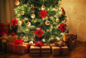 Kako odabrati božićno drvce na temelju vašeg horoskopski znak. 12 otvorenih ideje