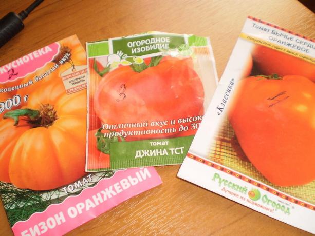 rajčica srednje ocjena: Bullish srce, Gina TST, Bizon naranče