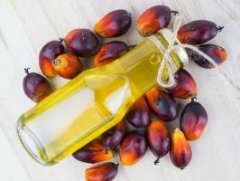 Koje su korisne i štetne osobine palminog ulja?
