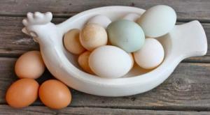 Kako korisno patka jaja