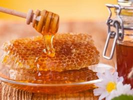 Što je med i koje su njegove prednosti