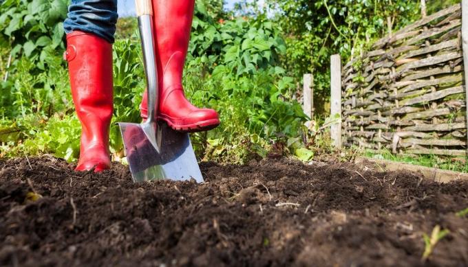 Koristi i štete od kopanja tla na području | Vrtlarstvo & Hortikultura