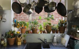 Kako originalni i praktičan za dodavanje sobno bilje i bilje u unutrašnjosti vaše kuhinje. 7 dizajn savjete