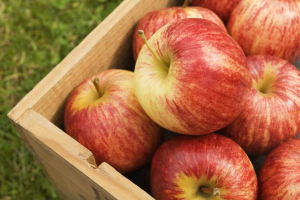 Pohranjene vitamini: pravilno skladištenje jabuka u zimi